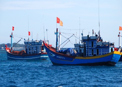 Conference on safety for offshore fishing boats - ảnh 1